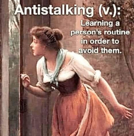 This meme is an image of a woman peeking out from behind a door, with a fearful expression. The text overlay reads "Antistalking (v.): Learning a person's routine in order to avoid them." The image is likely a humorous take on the concept of "stalking" and the idea of learning someone's routine in order to avoid them, rather than the traditional definition of stalking.